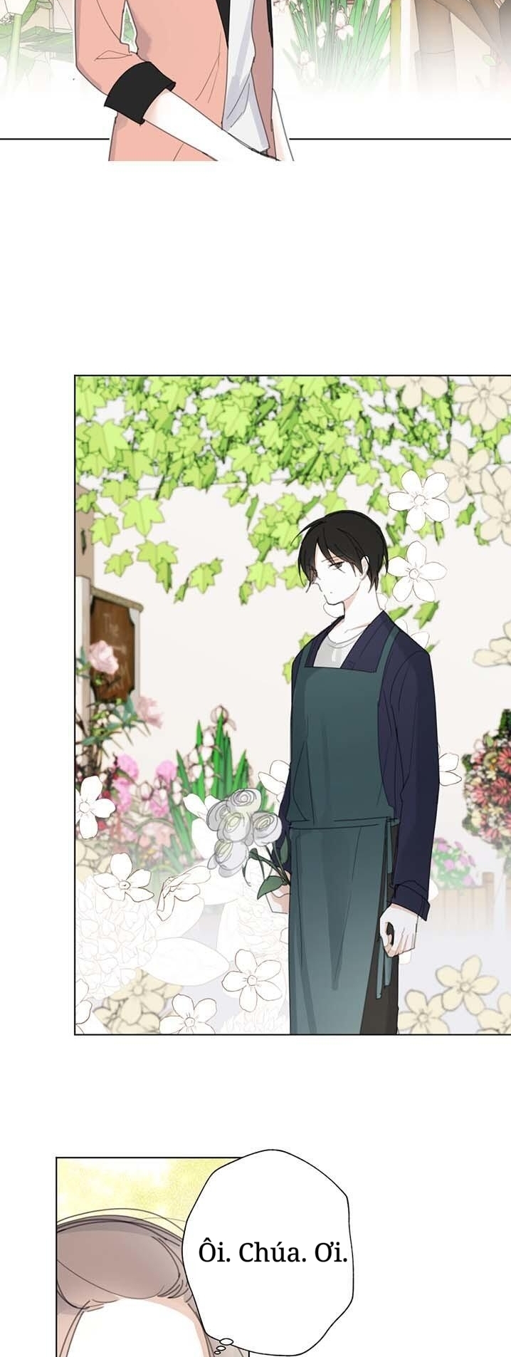 chuyện tình ở honey bouche chapter 6 7