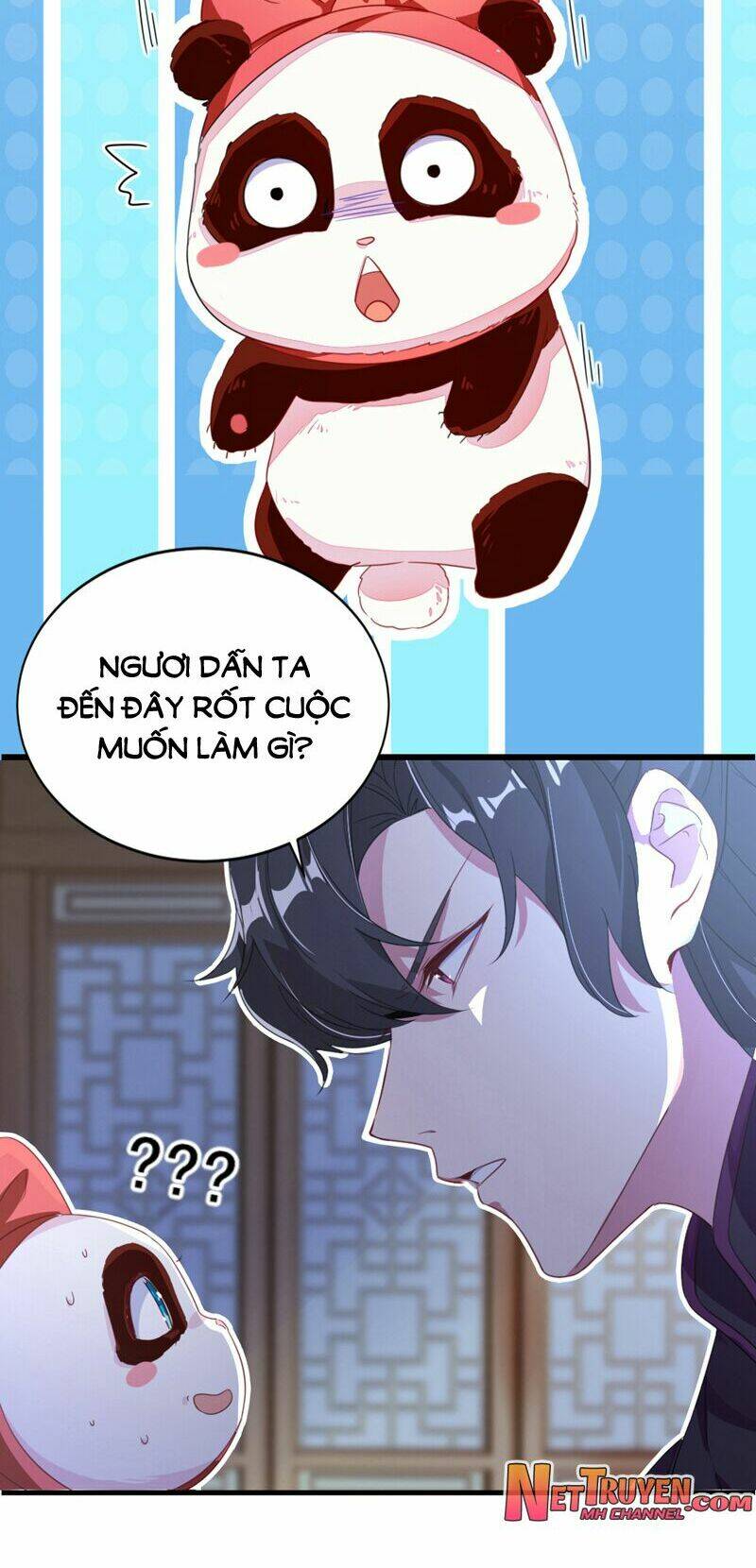 thiên thần gấu trúc muốn được ôm chapter 26 18