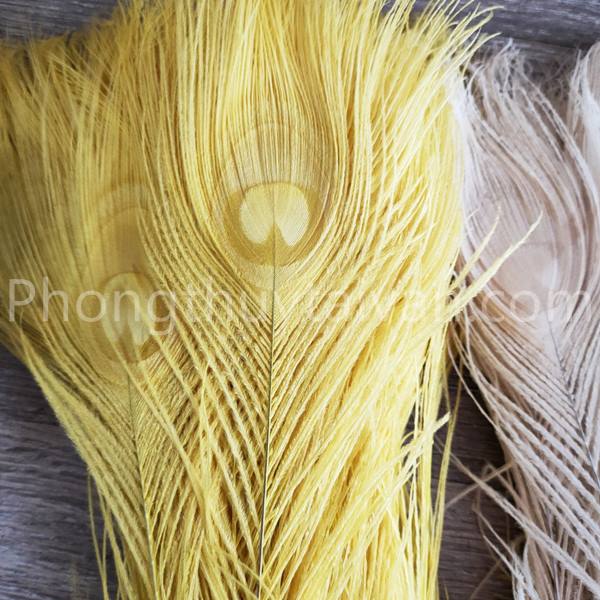 Lông Công Màu TRẮNG,VÀNG, XANH trang trí 25cm 30cm-lông Khổng tước chiêu tài,trang trí