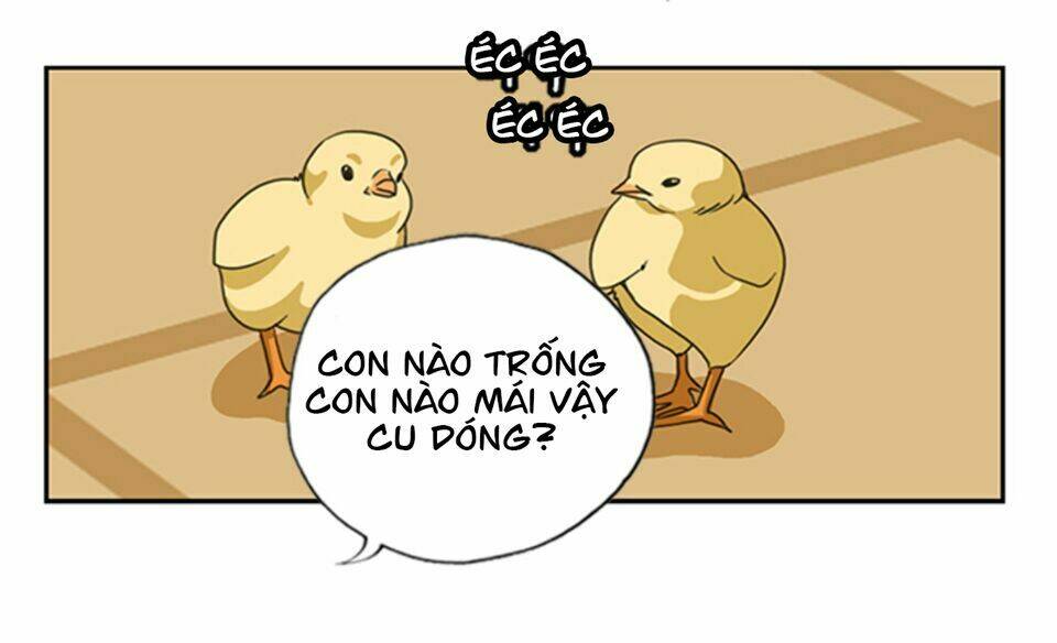 cậu bé lập dị chapter 14 22