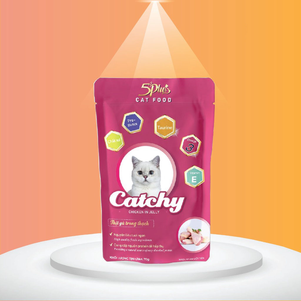 Combo 12 gói Pate Catchy 70gram 2 vị cao cấp danh cho mèo