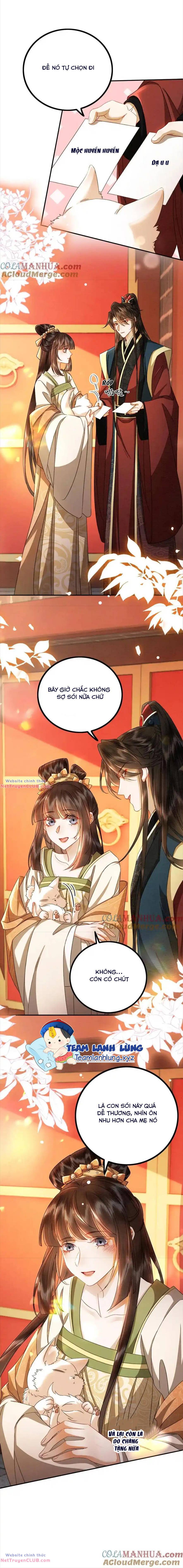 báo cáo nhiếp chính vương, đại lão nàng ấy chuyên trị bệnh liệt dương chapter 203 10