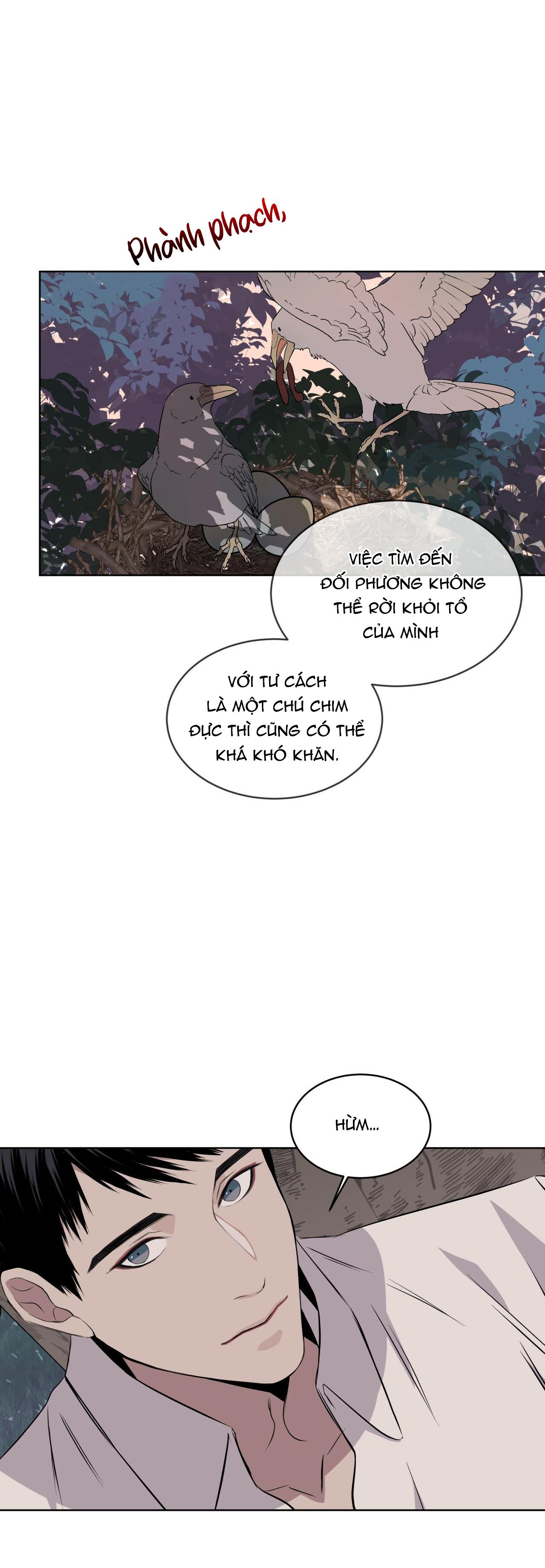 rừng biển [bl] chapter 16 25