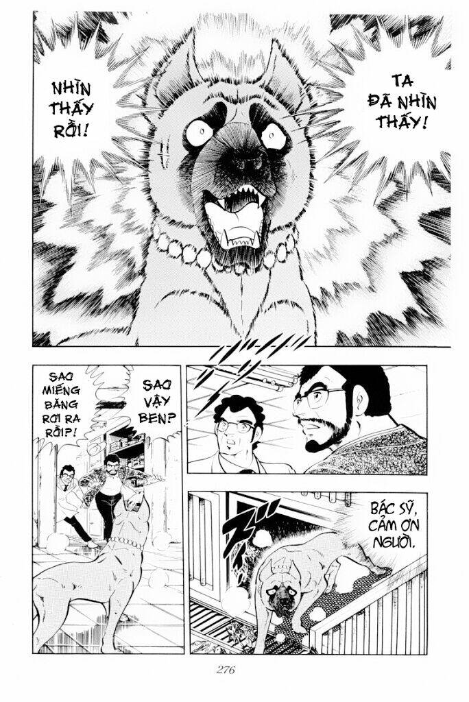 chú chó có nghĩa - ginga nagareboshi gin chapter 30.1 34