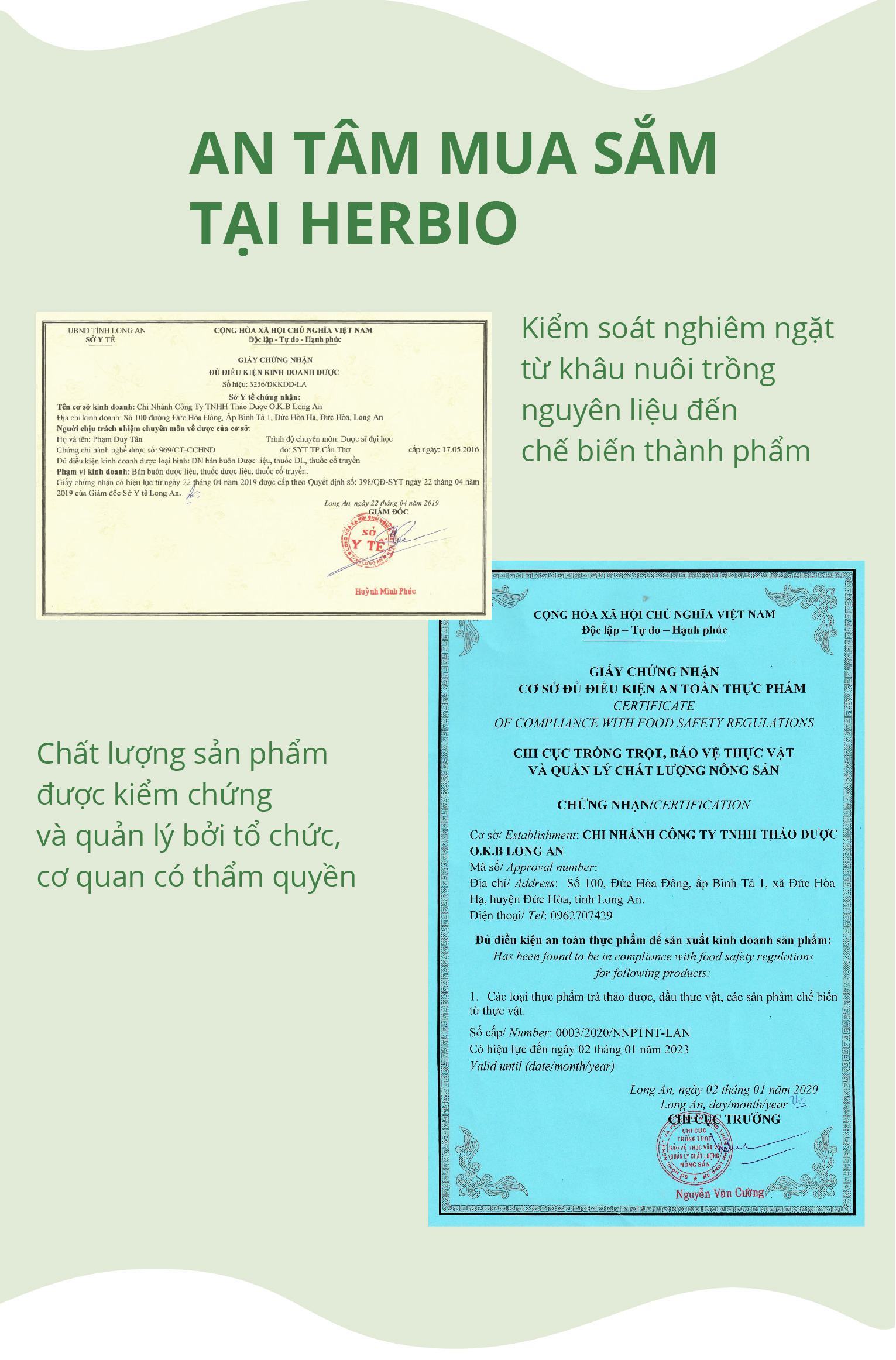 Trà thảo mộc nụ hoa Tam Thất Herbio - giúp an thần, giải tỏa căng thẳng, giảm mệt mỏi, tạo giấc ngủ sâu - hộp 50g