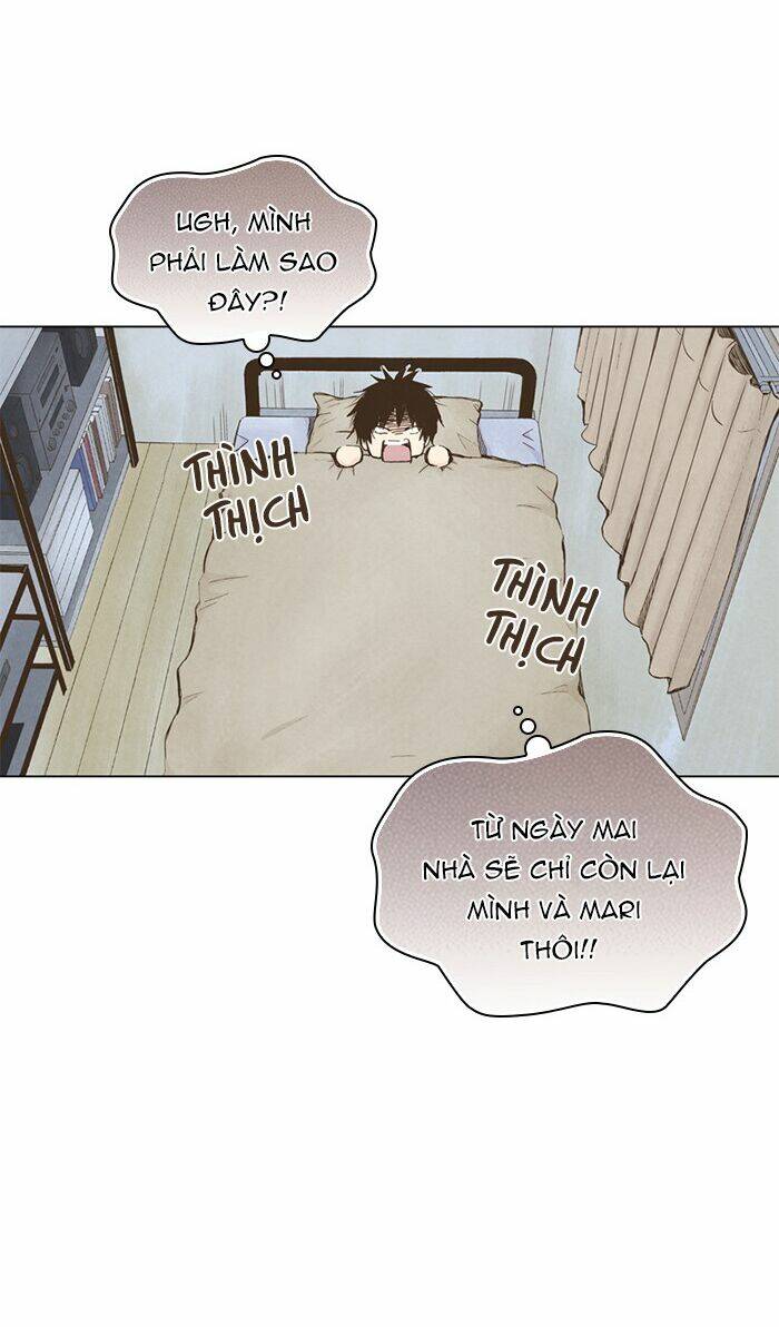 marry me! chapter 42 36