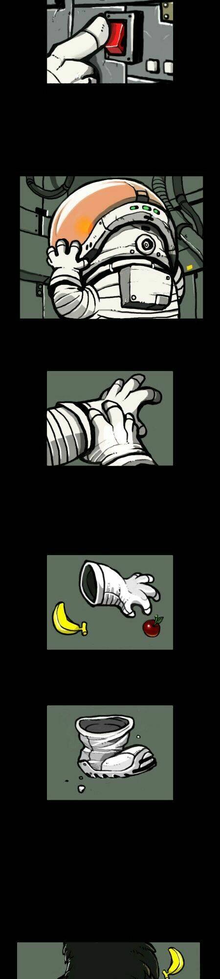 earth, human, and animal chapter 15 4