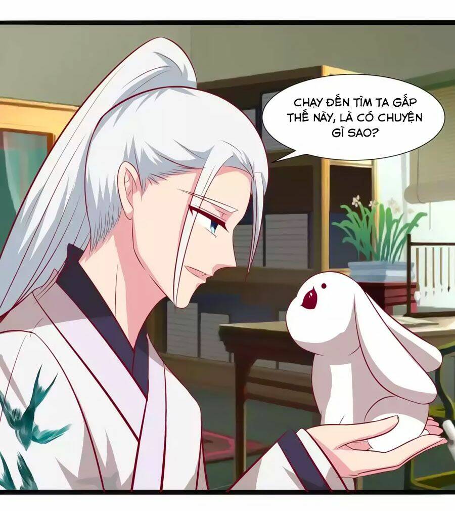 thỏ yêu tiểu vương phi chapter 65 33