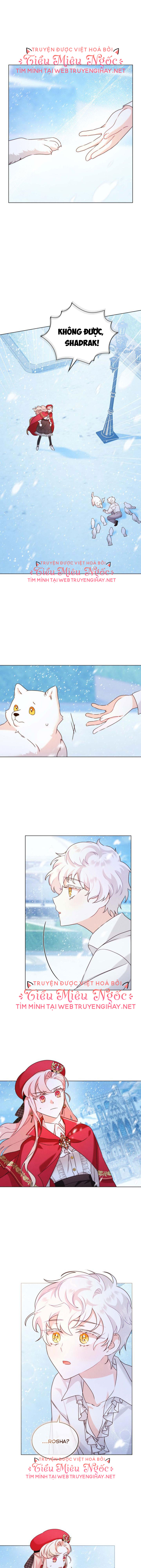 ánh sáng của bình minh chapter 12 8