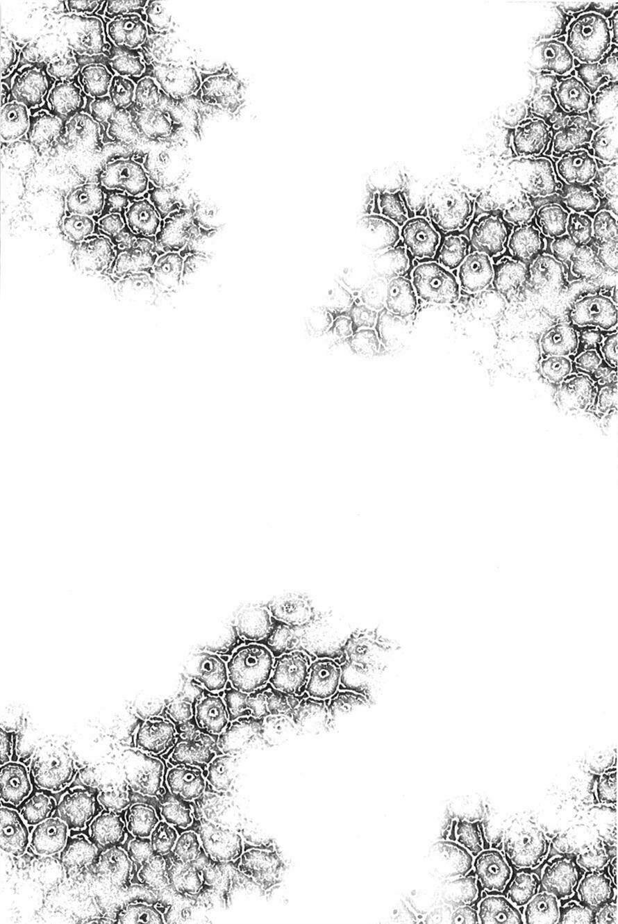 kansen rettou chapter 2 34