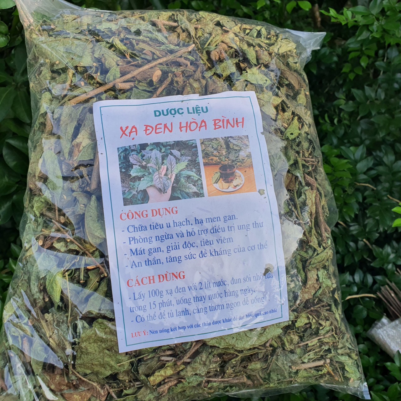 Xạ Đen Hòa Bình phòng ngừa và hỗ trợ ung bướu