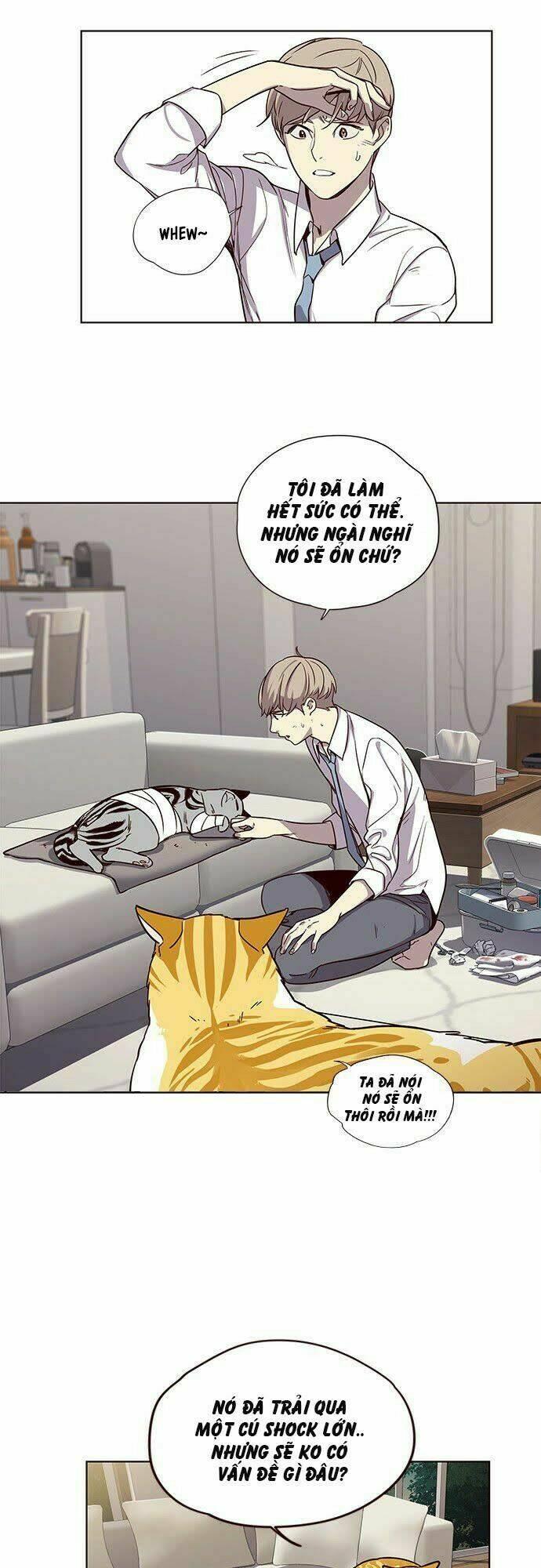 biến thân thành mèo chapter 4 8