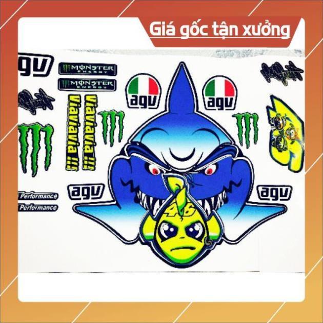 Tem dán nón 1/2 cá mập