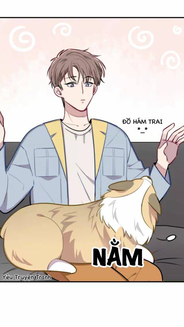 tình yêu trên cùng một dòng chapter 3.1 24