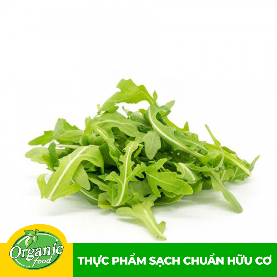 [Chỉ Giao HCM] - Rau Rocker hữu cơ Organicfood - 100g