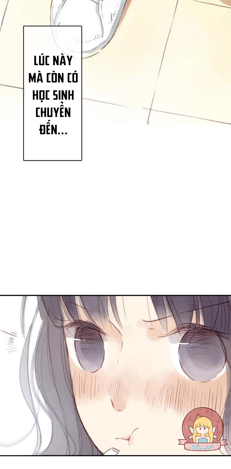 phế sài thần đăng và công chúa chapter 13 6