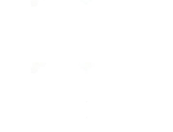 sau khi chuyển sinh tôi trở thành công chúa chapter 16.2 14