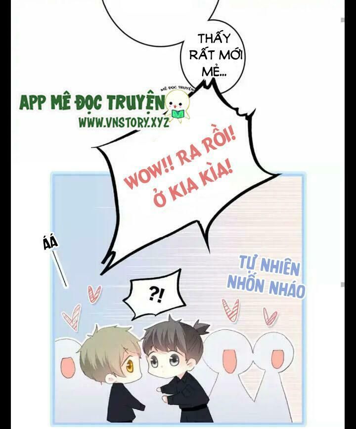 con tim rung động 2 chapter 29 21