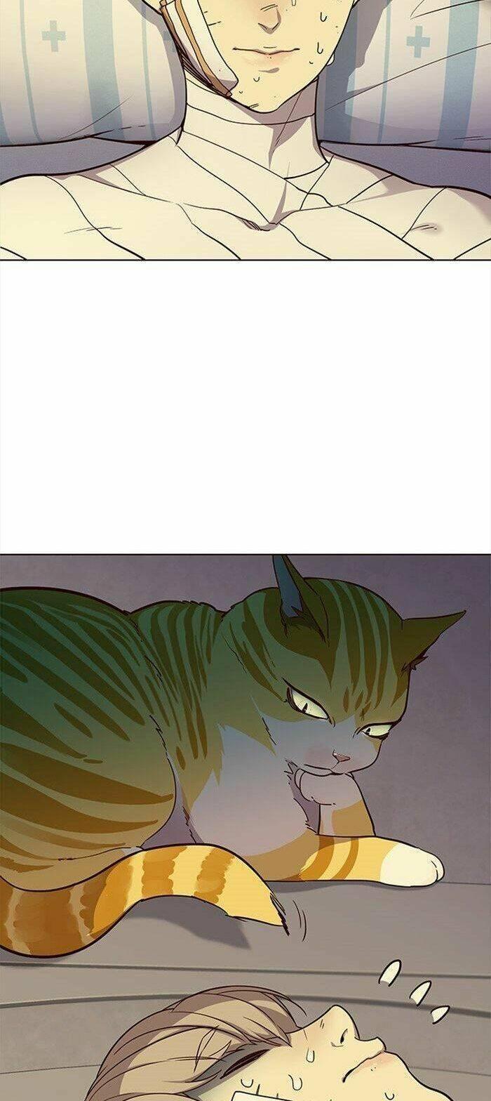 biến thân thành mèo chapter 29 13