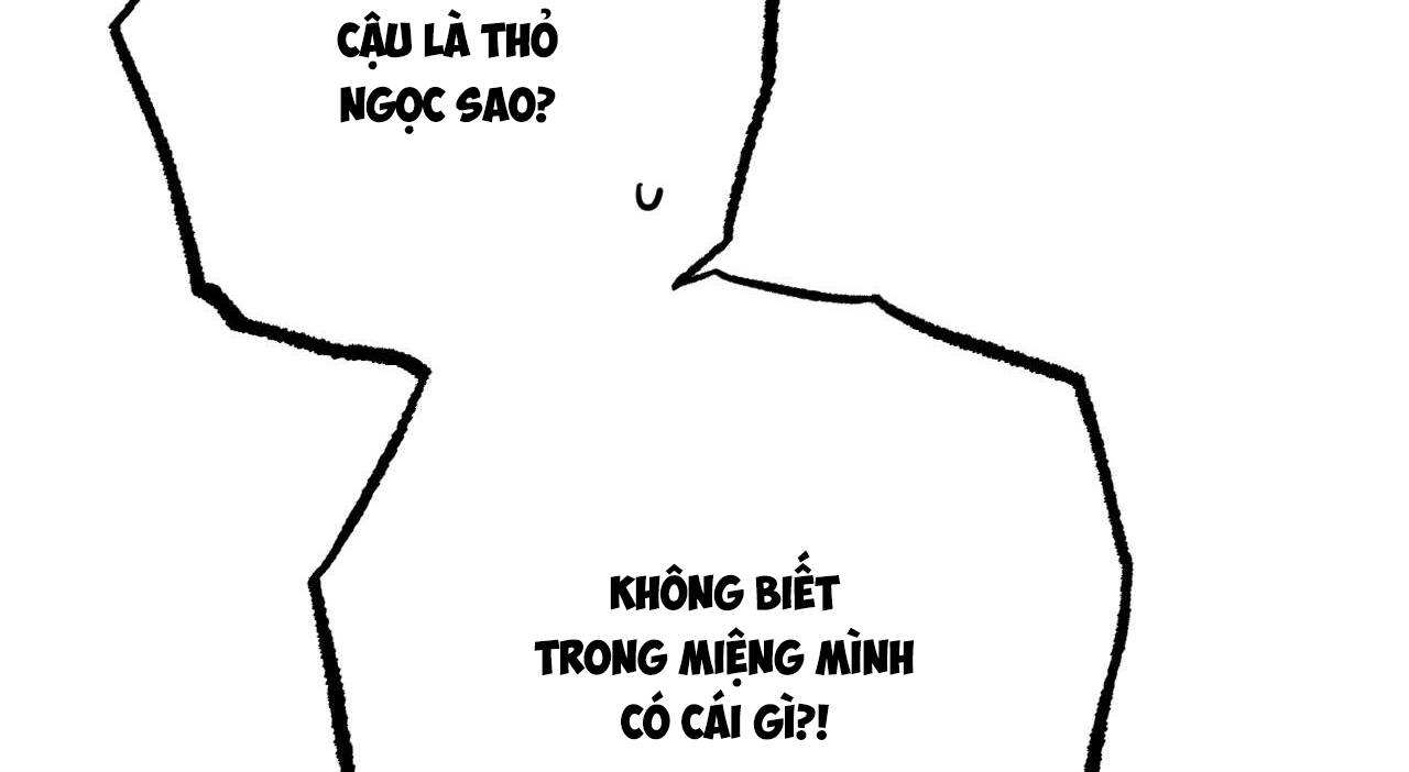 đàn thỏ của habibi chapter 27 31