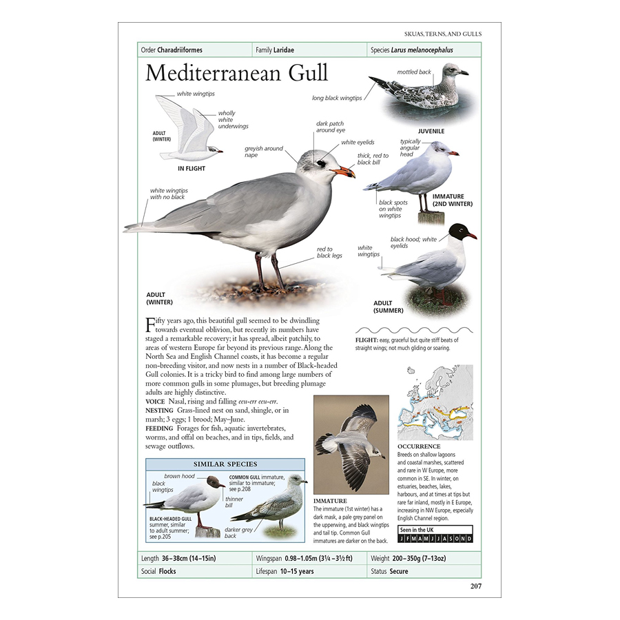 RSPB Birds Of Britain And Europe