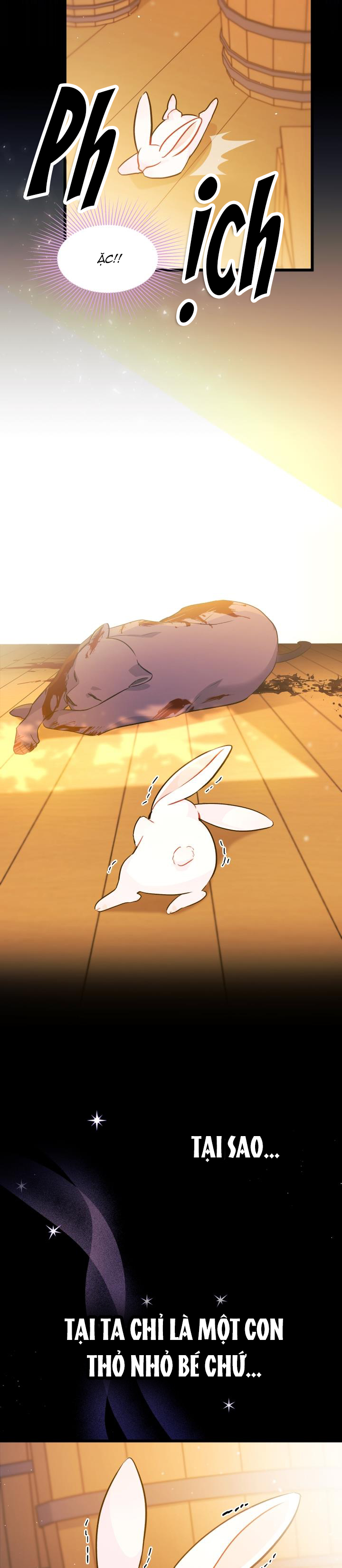 mối liên kết giữa báo đen và bé thỏ chapter 28 32