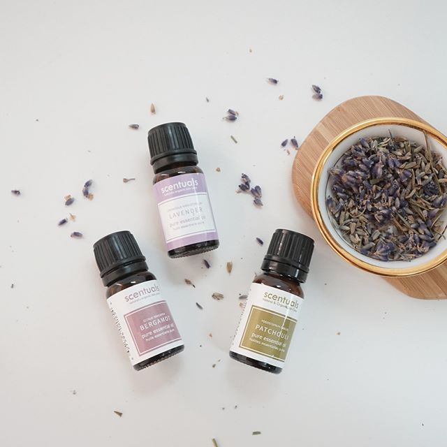 Tinh dầu oải hương - Pure essential oil 10 ml - LAVENDER