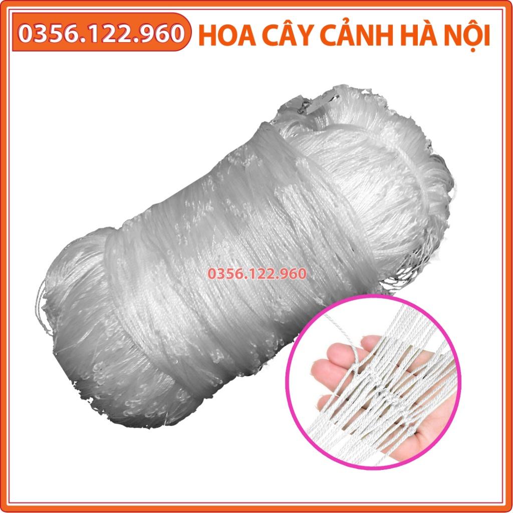 10 mét Lưới làm giàn leo sợi kép, bền chắc cho bầu bí mướp .....