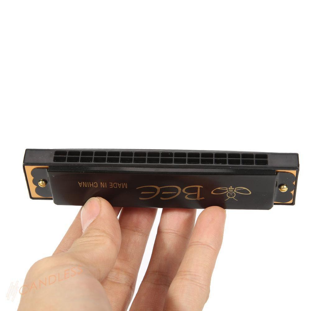 Kèn Harmonica 16 Lỗ Cho Người Mới Bắt Đầu