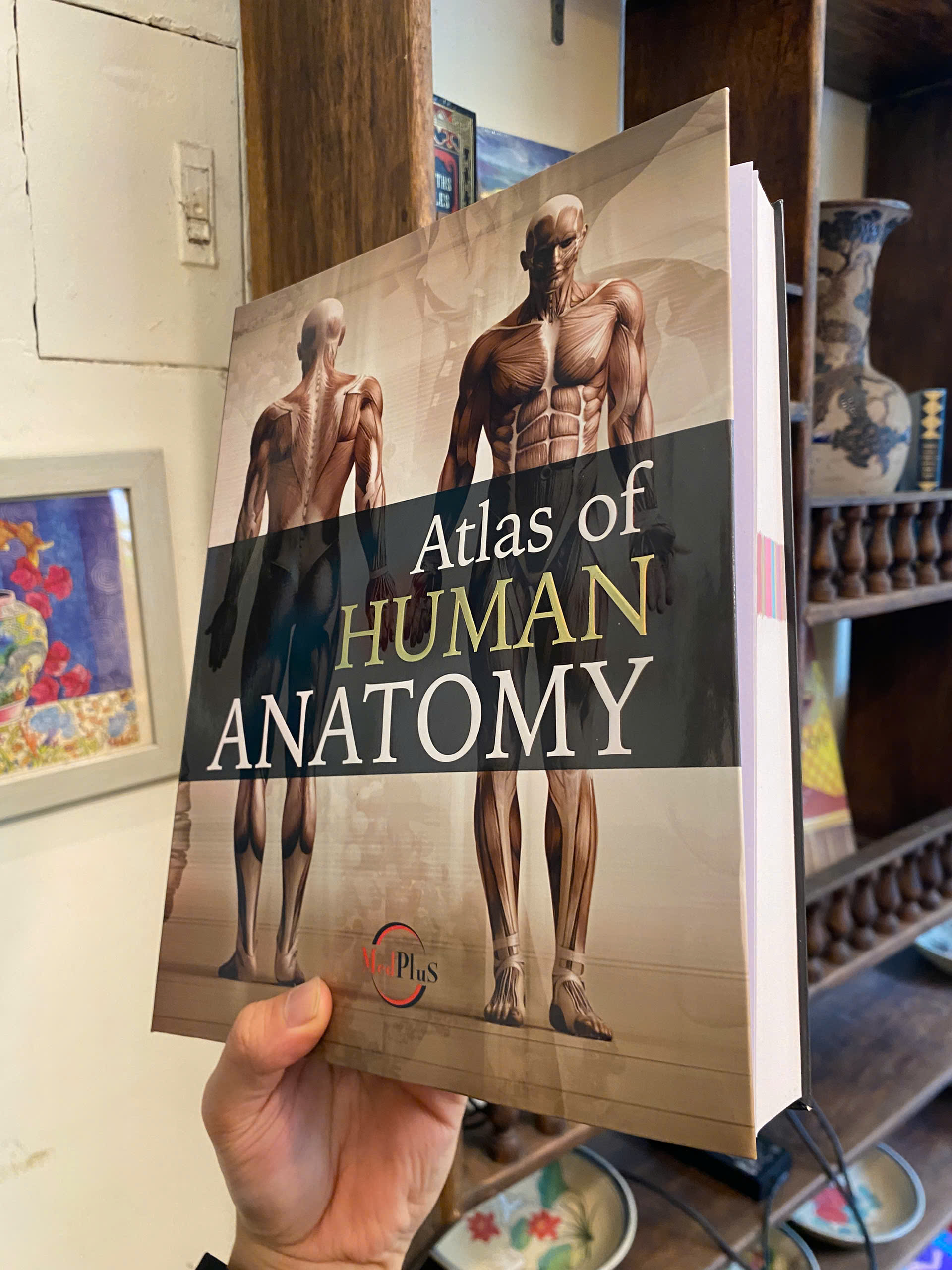 Sách - Human Anatomy by Jordi Vigue | Medical Science / Reference Nonfiction / Ngoại văn