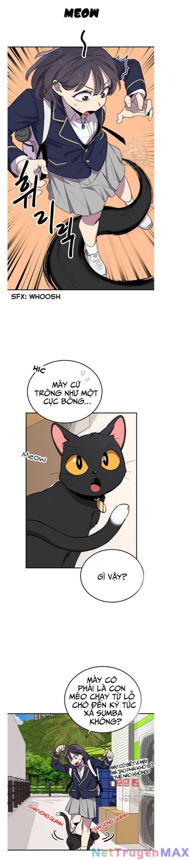 trên đời này không có ai ngu ngốc như thế chapter 4 40