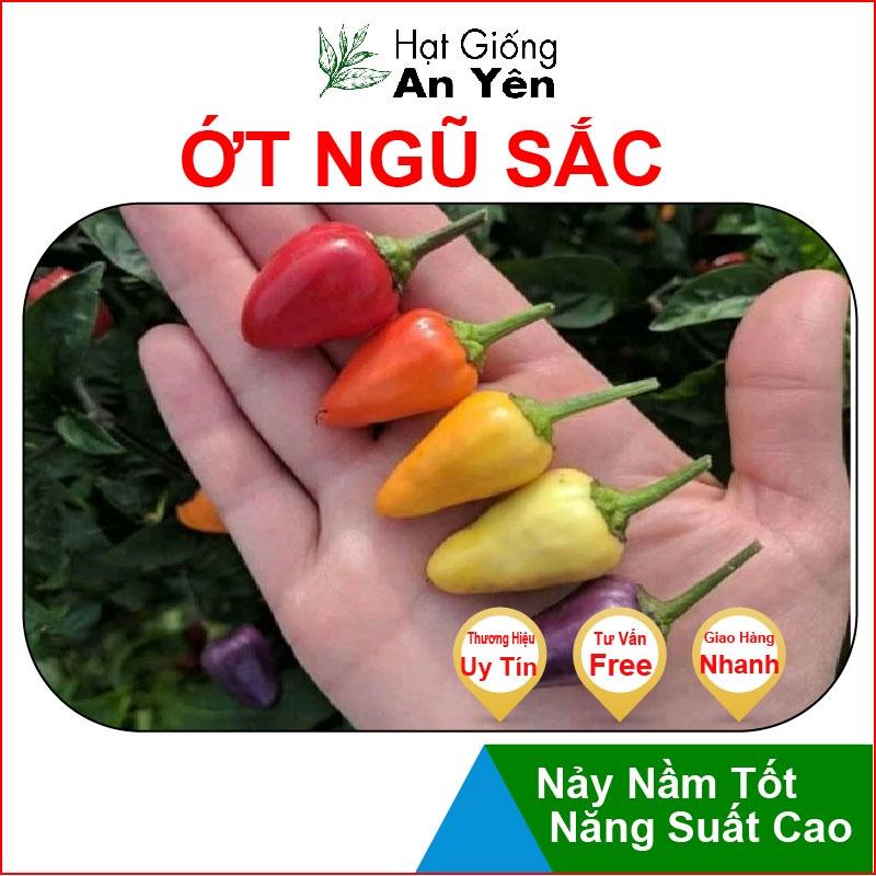 Hạt giống Ớt Ngũ Sắc thu hoạch sớm, dễ trồng, nảy mầm cao, sinh trưởng khoẻ