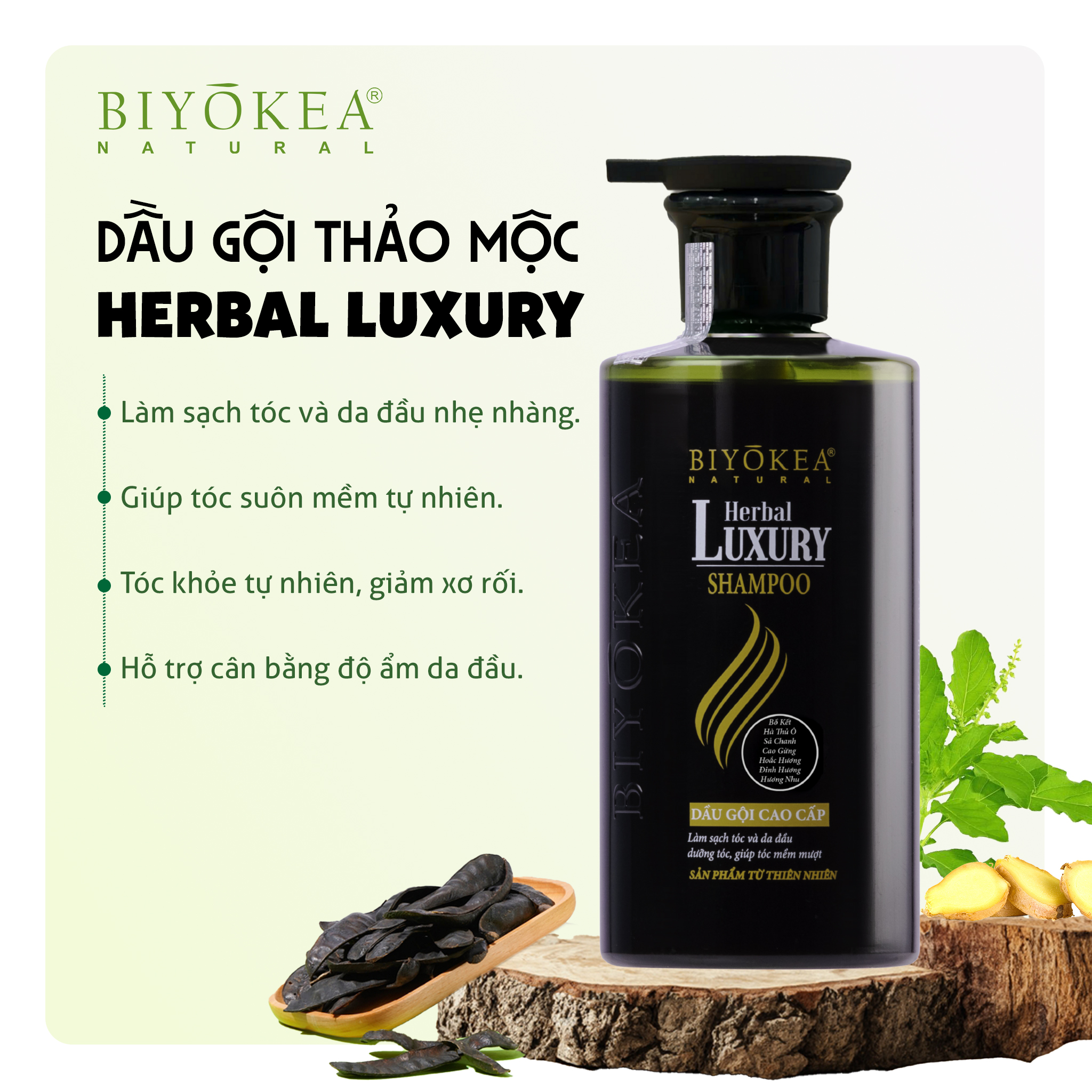 Dầu gội bồ kết thảo dược thiên nhiên, kích thích mọc tóc, dưỡng tóc, phục hồi tóc hư tổn Herbal Luxury Biyokea 320ml