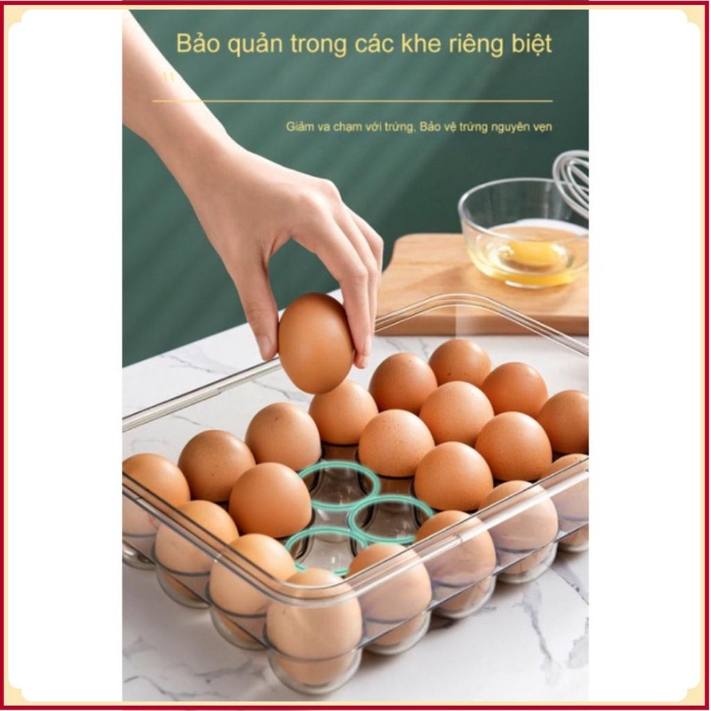 Hộp đựng bảo quản trứng Fresh&Dial