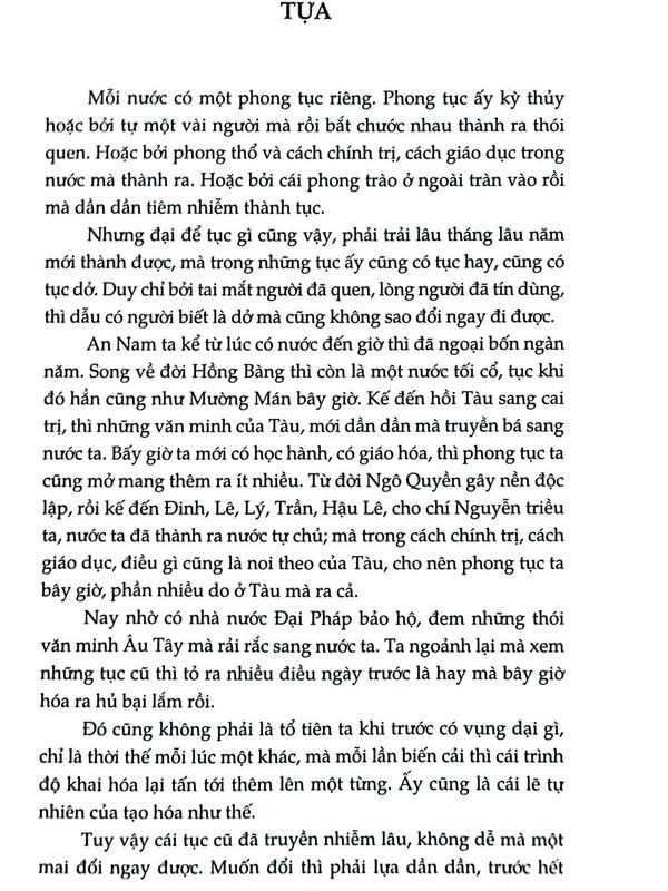 Sách - Việt Nam phong tục (Nhã Nam HCM)