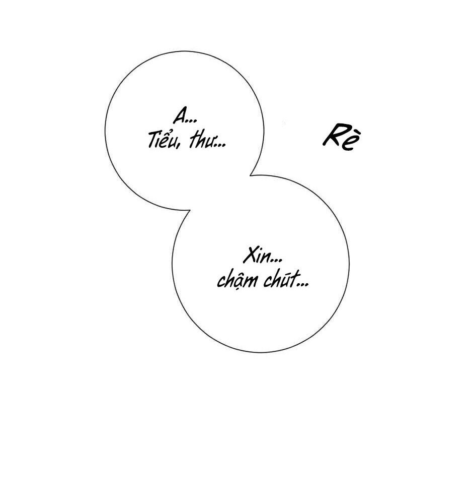 cô chủ và người hầu chapter 24 61