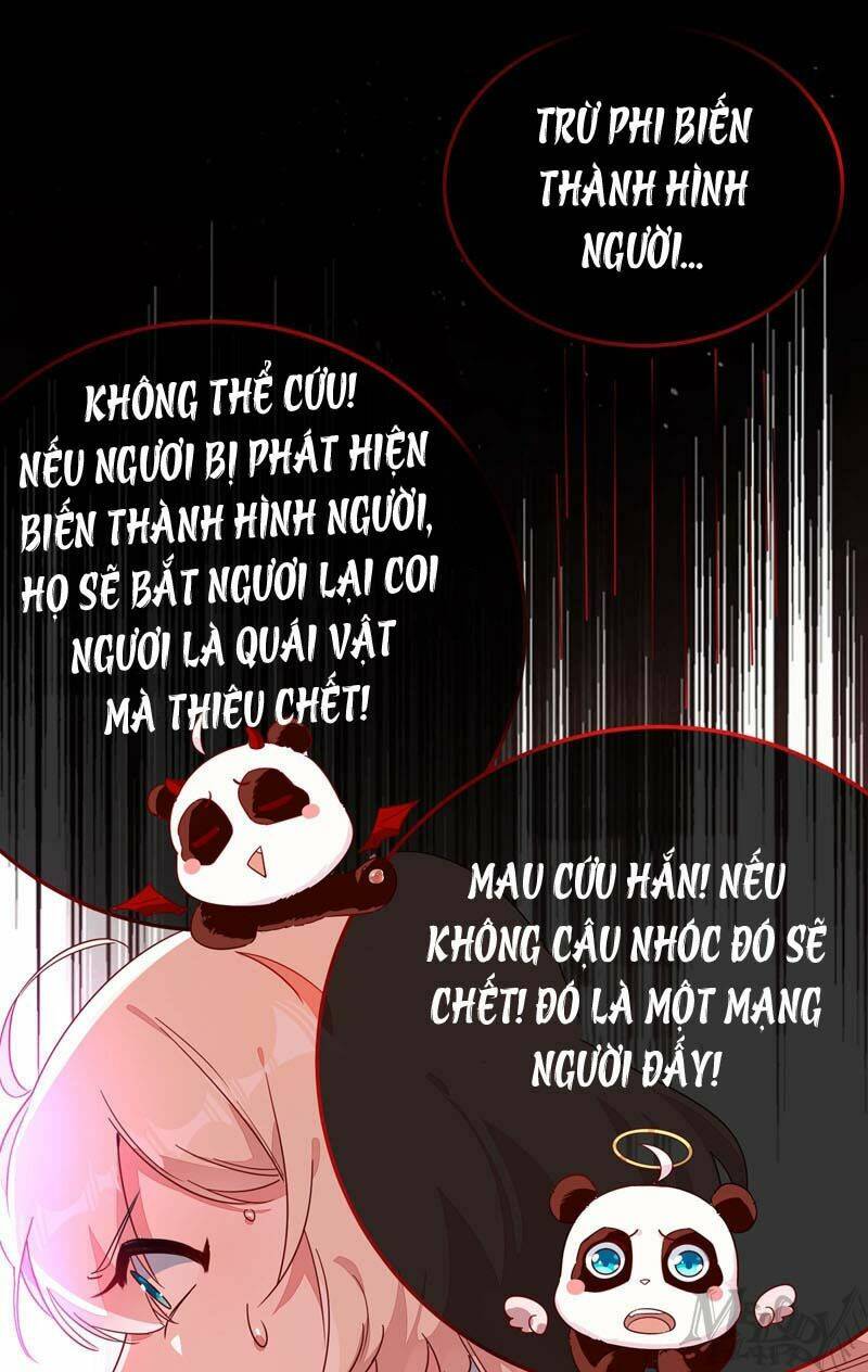 thiên thần gấu trúc muốn được ôm chapter 47 4