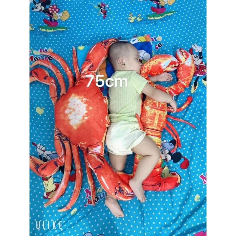 THÚ BÔNG CON CUA ĐỎ , GHẸ BÔNG 3D SIÊU TO KHỔNG LỒ