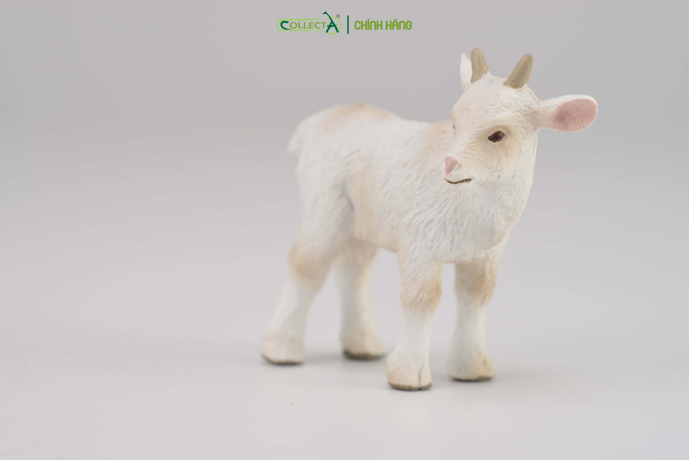 Mô hình thu nhỏ: Dê con - Goat Kid - Standing, hiệu: CollectA, mã HS 9650151[88786] -  Chất liệu an toàn cho trẻ - Hàng chính hãng