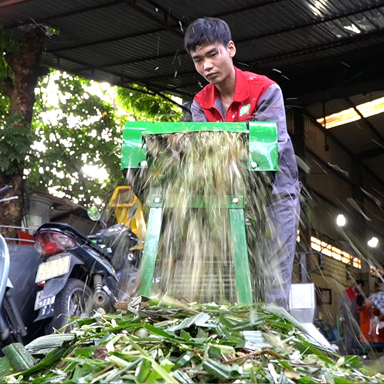 Máy băm cỏ voi, cây ngô băng tải 3A2,2KW an toàn tuyệt đối, năng suất 500Kg/h