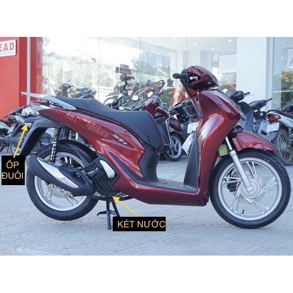 COMBO ỐP PHỤ KIỆN TRANG TRÍ SH 2020 2021 2022 2023 CROM (5 MÓN : CHE PÔ, BẦU E , KÉT NƯỚC, DÈ TRƯỚC ,DÈ SAU )