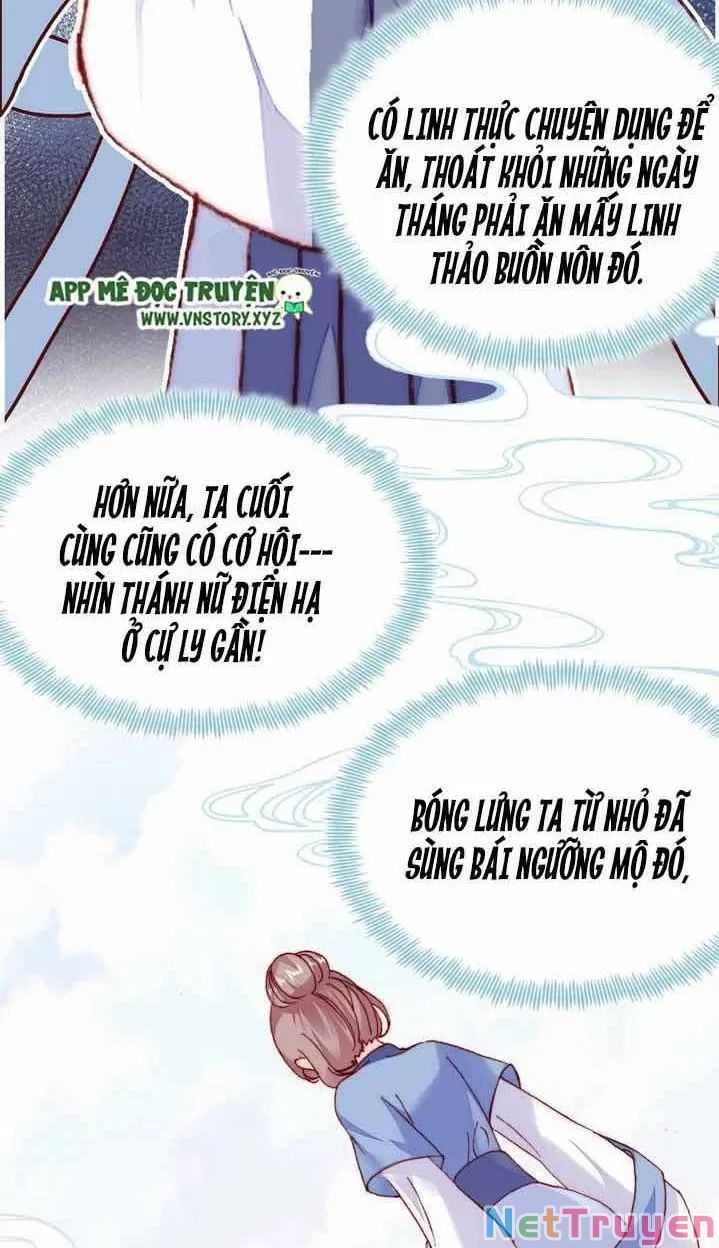 lại bị bệnh chiều chuộng quấn lấy chapter 9 8