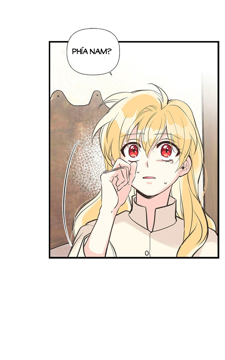 chị tôi đã nhặt về một nam chính quyến rũ chapter 26 29