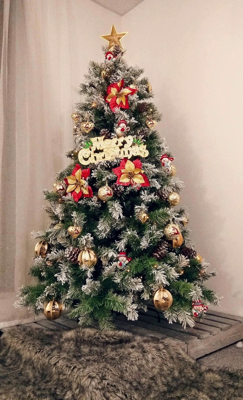 Cây Thông Noel Phủ Tuyết Cao Cấp  Cây Thông Phủ Tuyết Hàng Đẹp