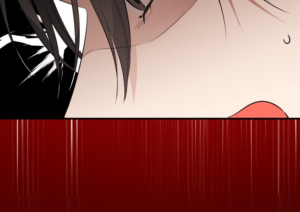 những chú thỏ của hapypy chapter 63 116