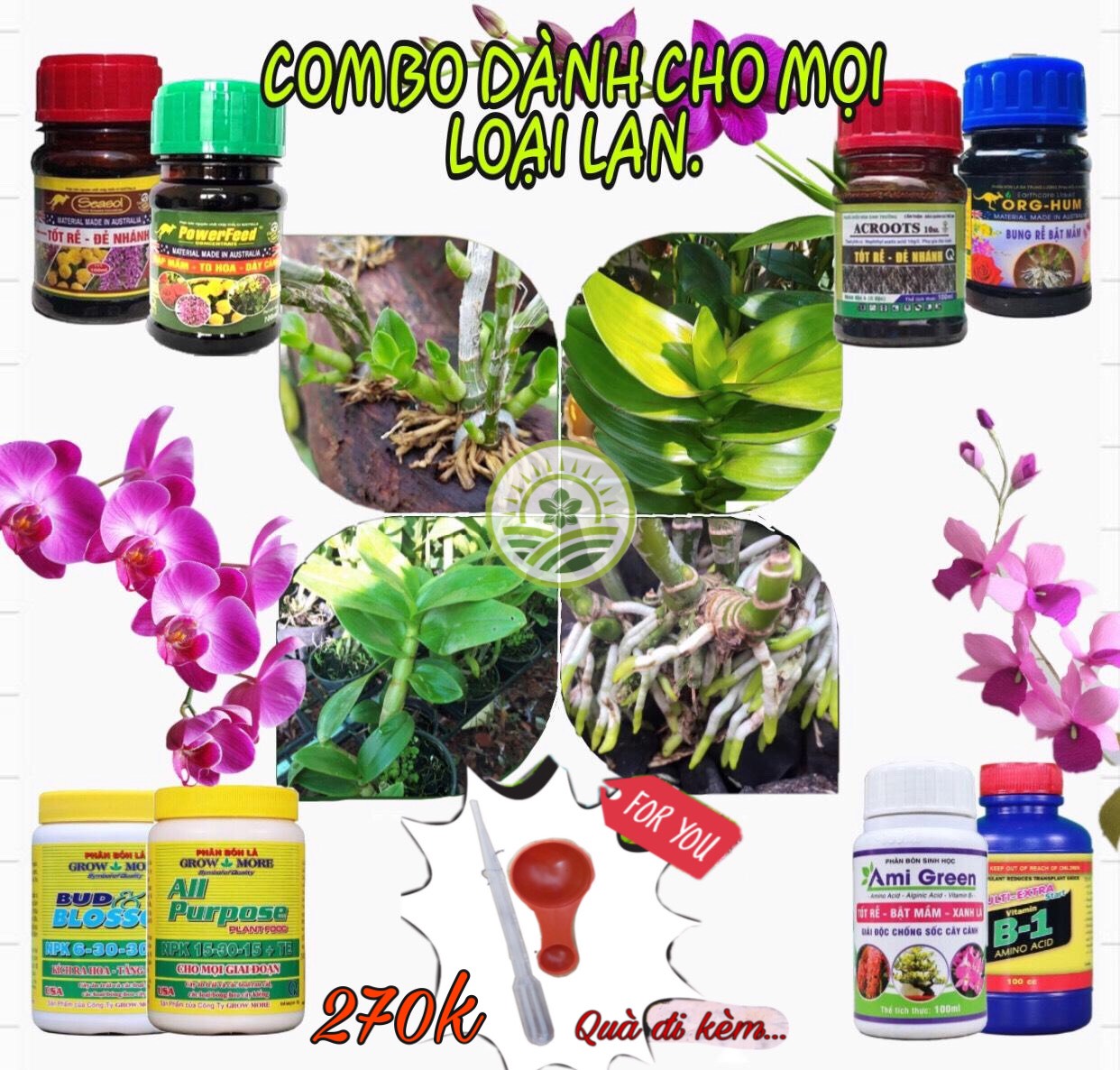 COMBO 8 loại phân bón chăm sóc hoa lan, cây cảnh dành cho người mới trồng