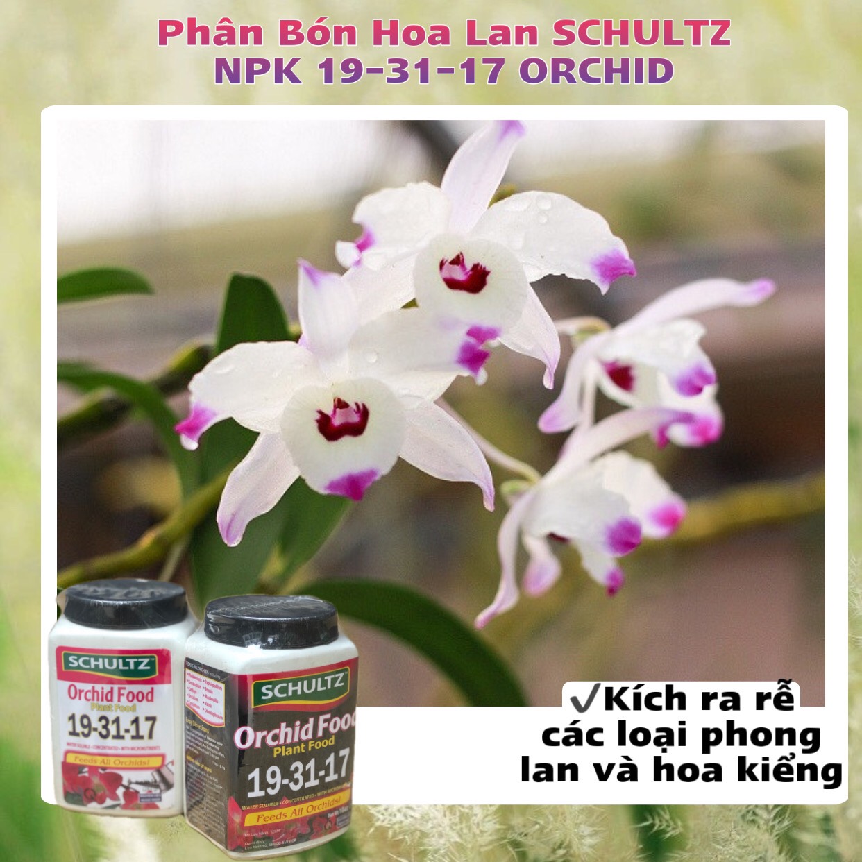 Phân Bón Hoa Lan SCHULTZ NPK 19-31-17 ORCHID Hũ 283g