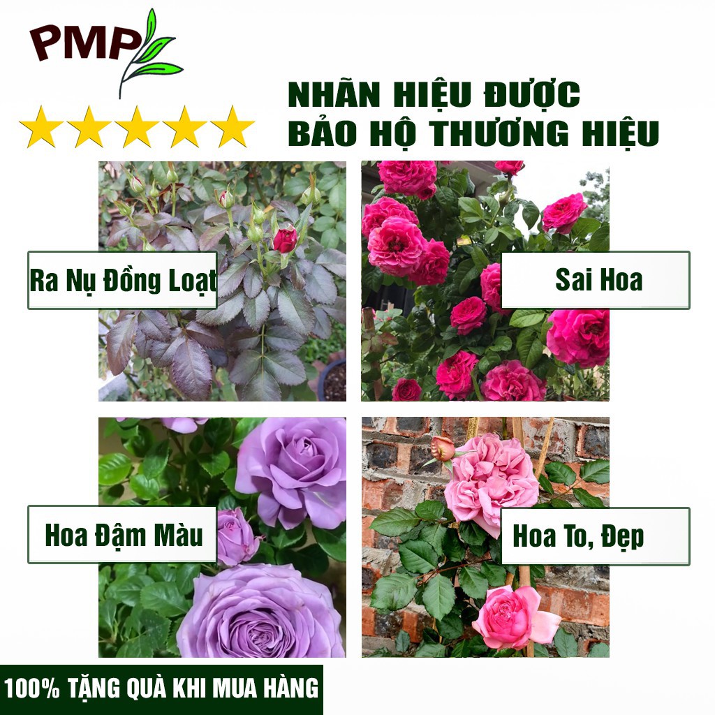 Combo Phân Bón Hữu Cơ Cho Cây Ăn Quả 1 Tricow và 1 Dịch Chuối x4 Kali