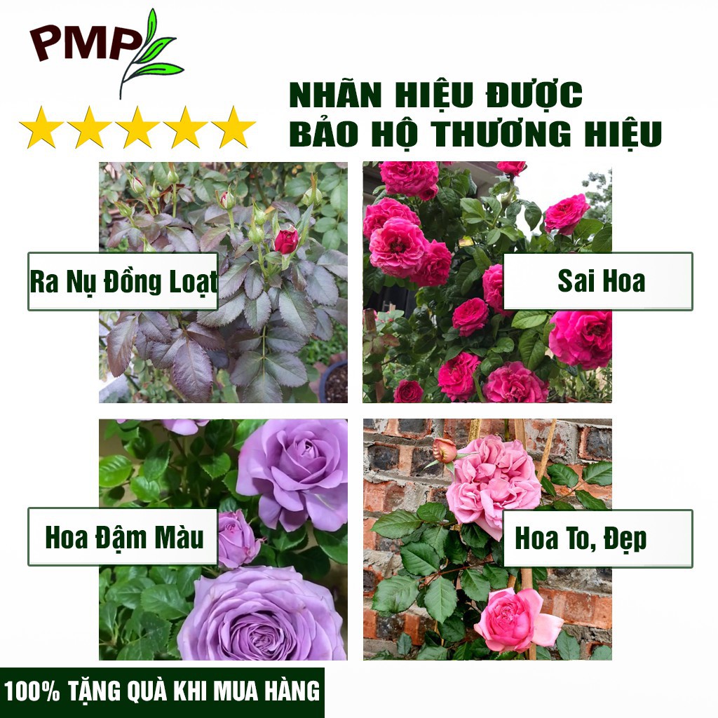 Combo Phân Hữu Cơ Nhật Bản, Chế Phẩm Vi Sinh Biomic &amp; Nấm Trichoderma PMP Chuyên Dụng Cho Hoa Hồng, Rau Sạch, Cây Cảnh