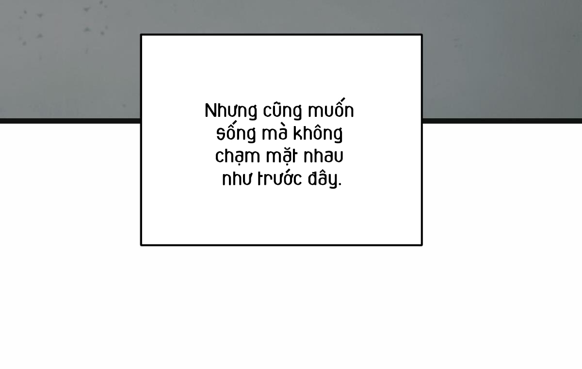 tương phùng chapter 11 122